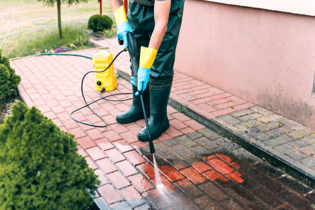 Best Animal Enclosure Cleaning  in March Ar, CA